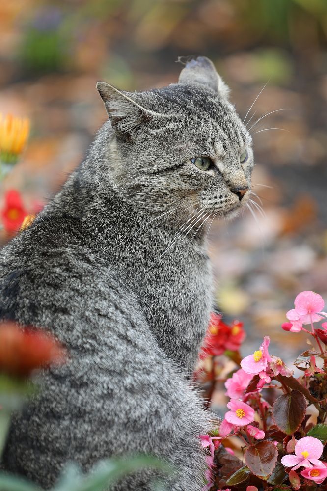 Photograph by Igor Makarov
