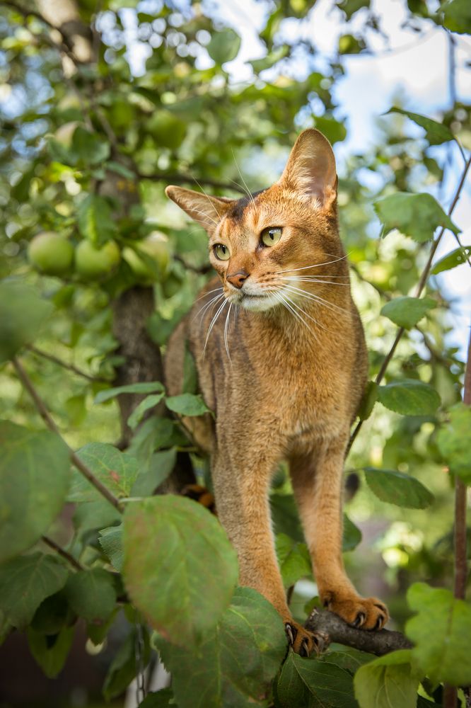 Photograph by Igor Makarov