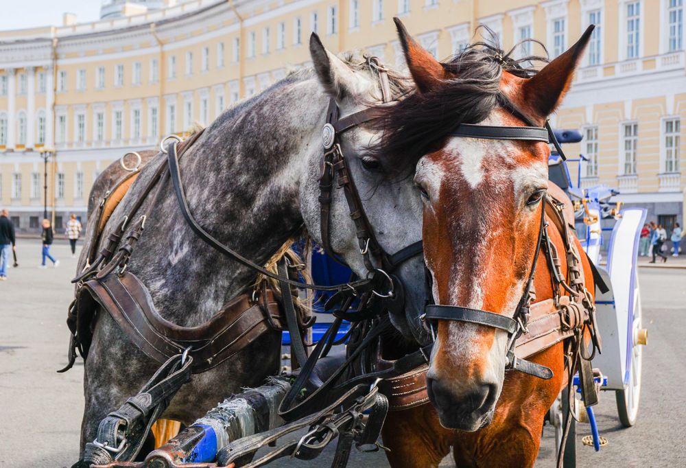 Photograph by Галина Бехметьева