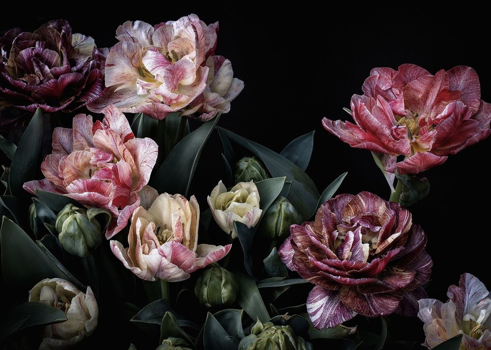 Photograph by Oxana Yushchenko