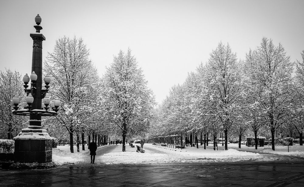 Photograph by Галина Бехметьева