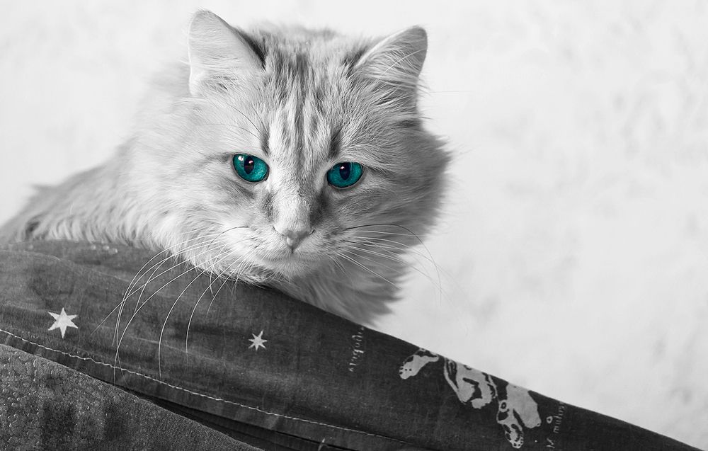 Photograph by Адель Гундырин