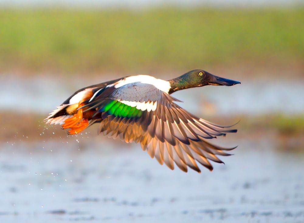 Photograph by Abhishek Manna