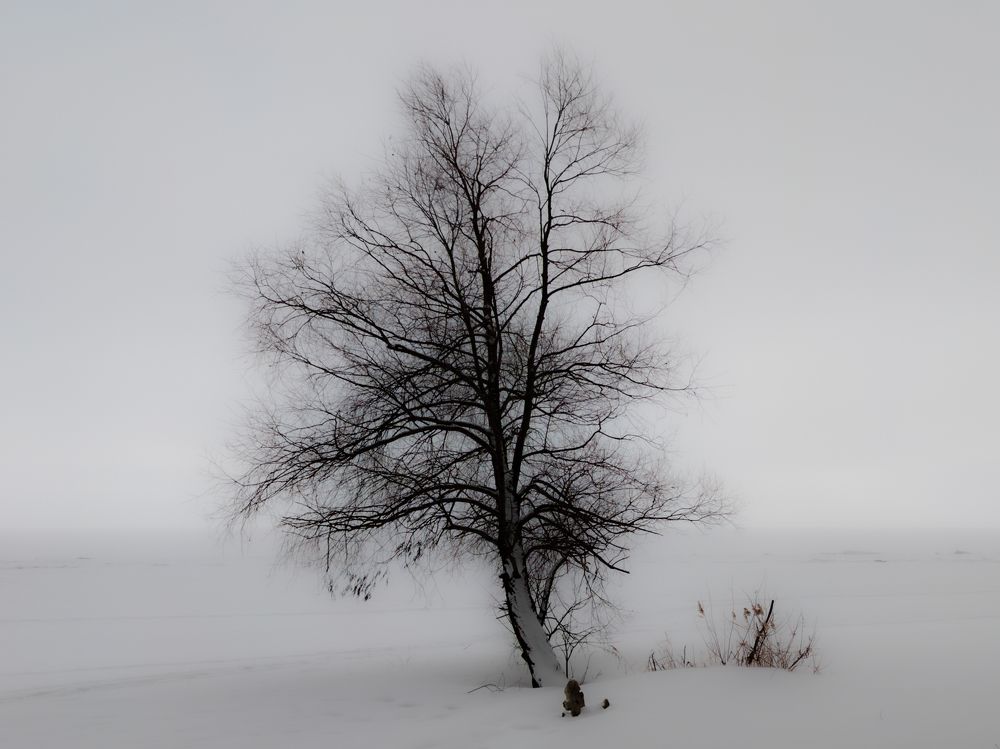 Фотография автора Андреянов А. В.