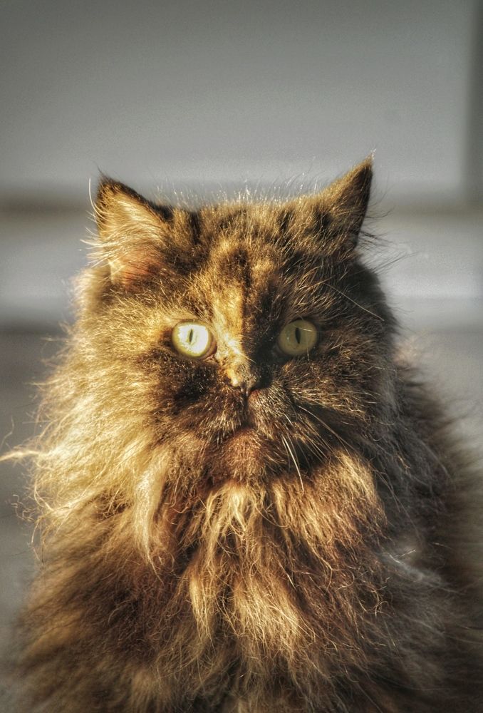 Photograph by Алексей Кроль