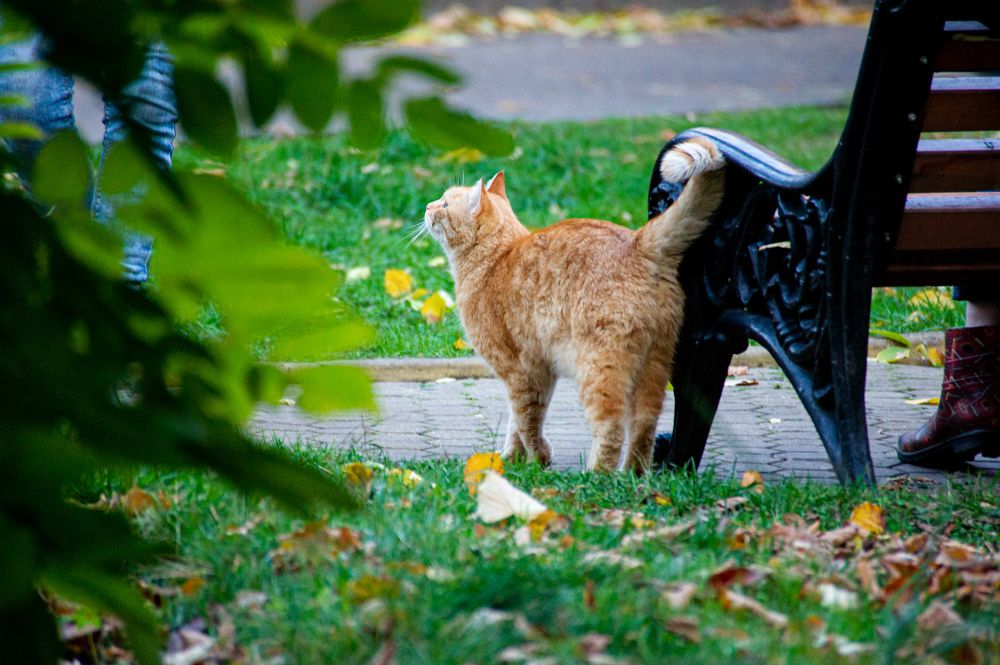 Photograph by Елизавета Корнилова