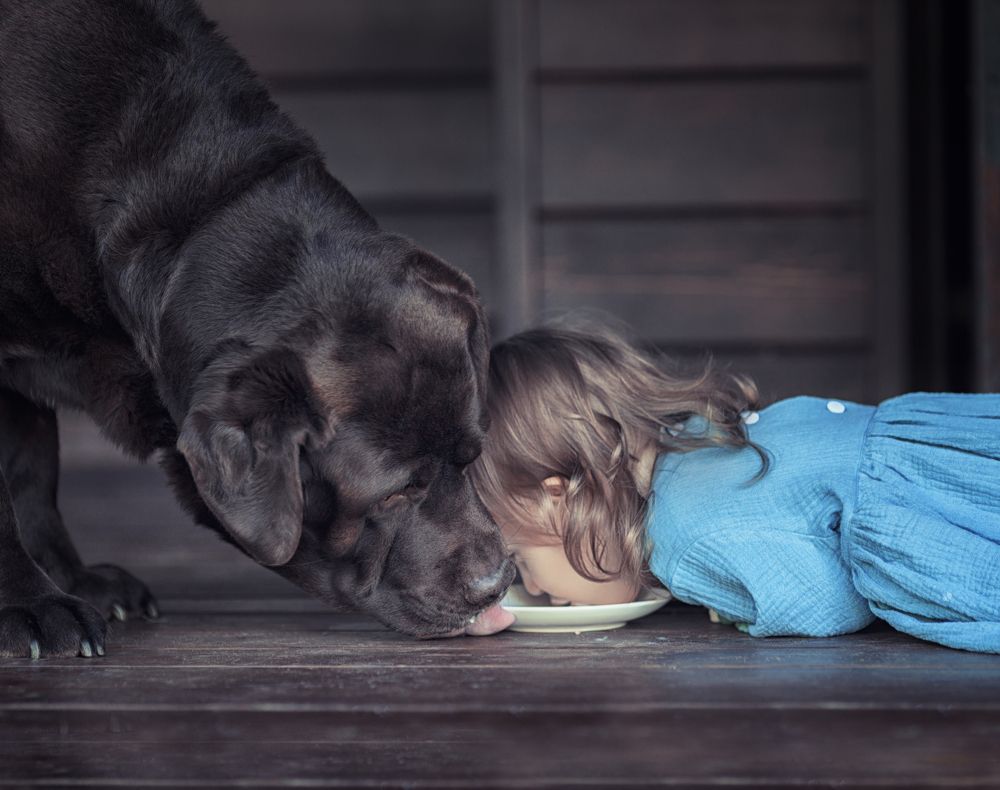 Photograph by Наталья Петракова