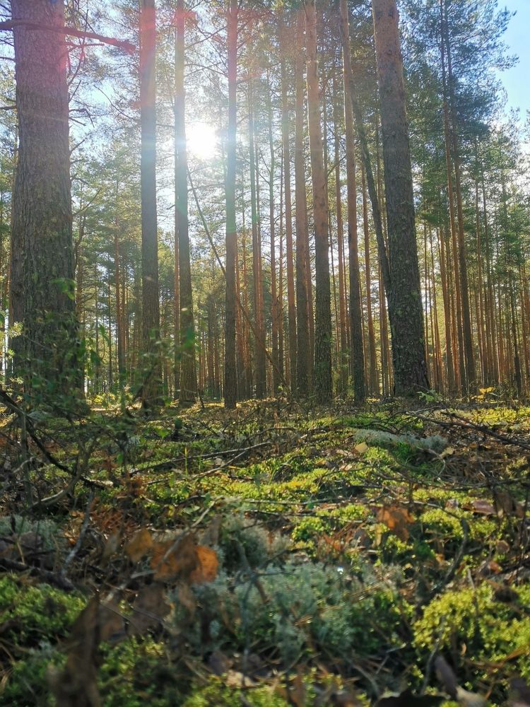 Photograph by Светлана