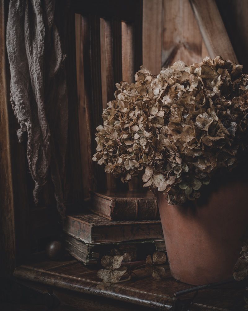 Photograph by Oxana Yushchenko