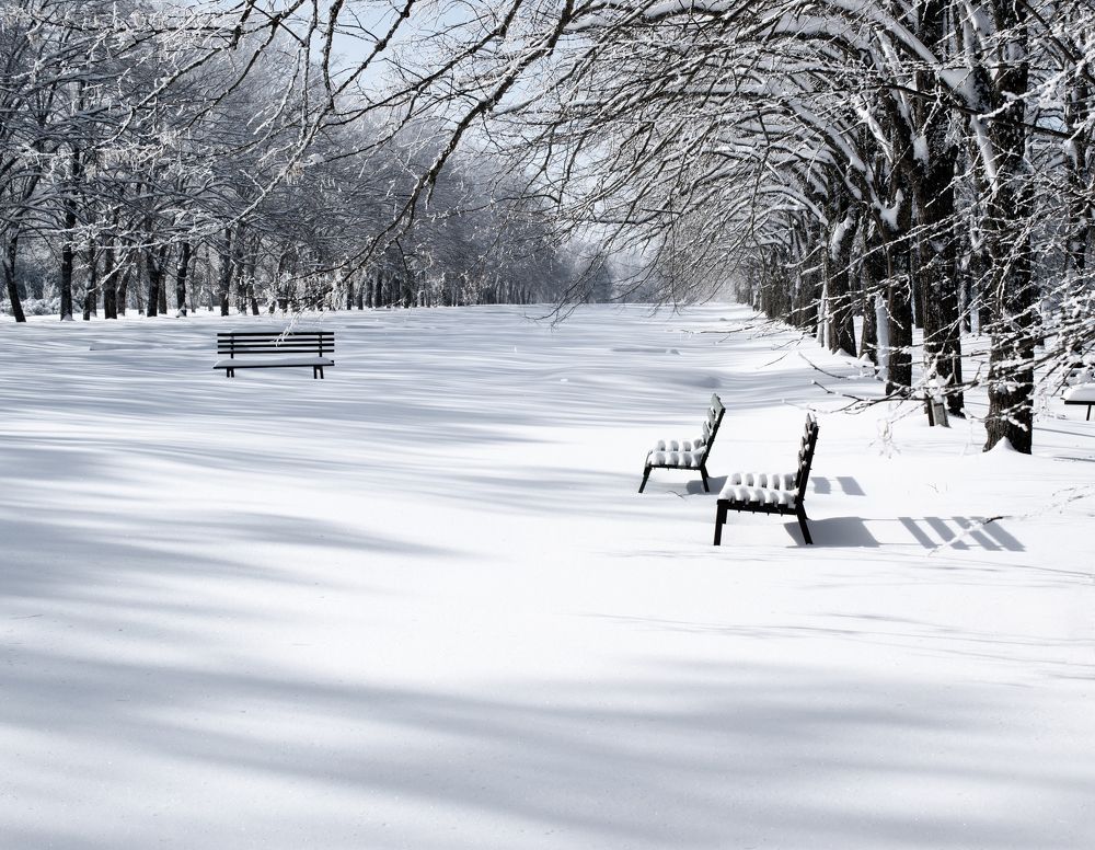 Photograph by Elena Lopatina