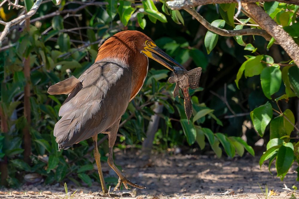 Photograph by Claudio Frateschi