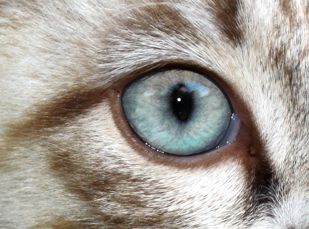 Photograph by  Татьяна Дорожко