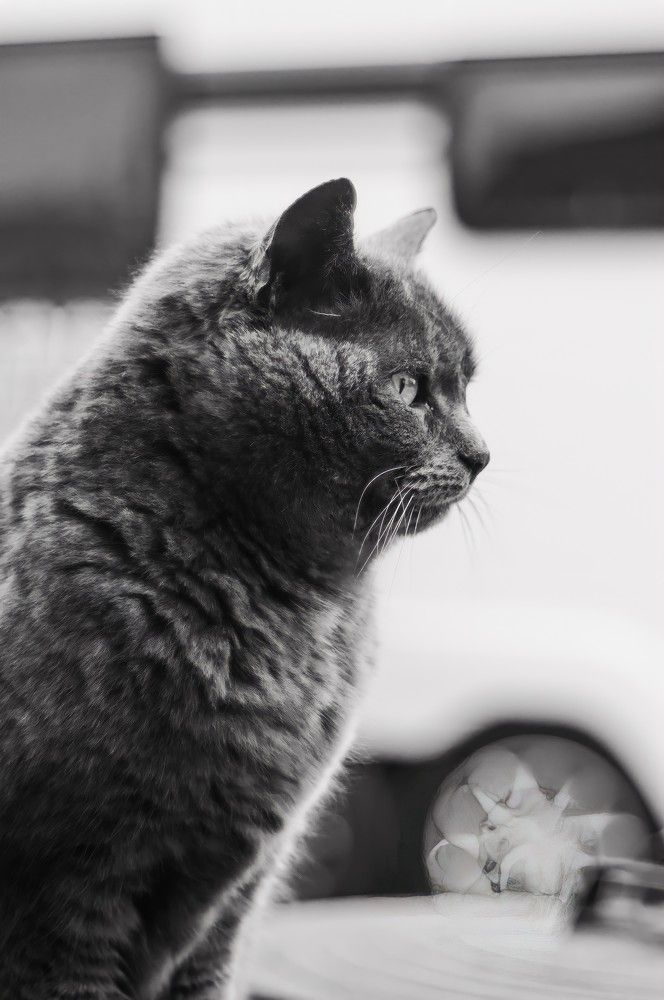 Photograph by Daria Isabella Dziedzic