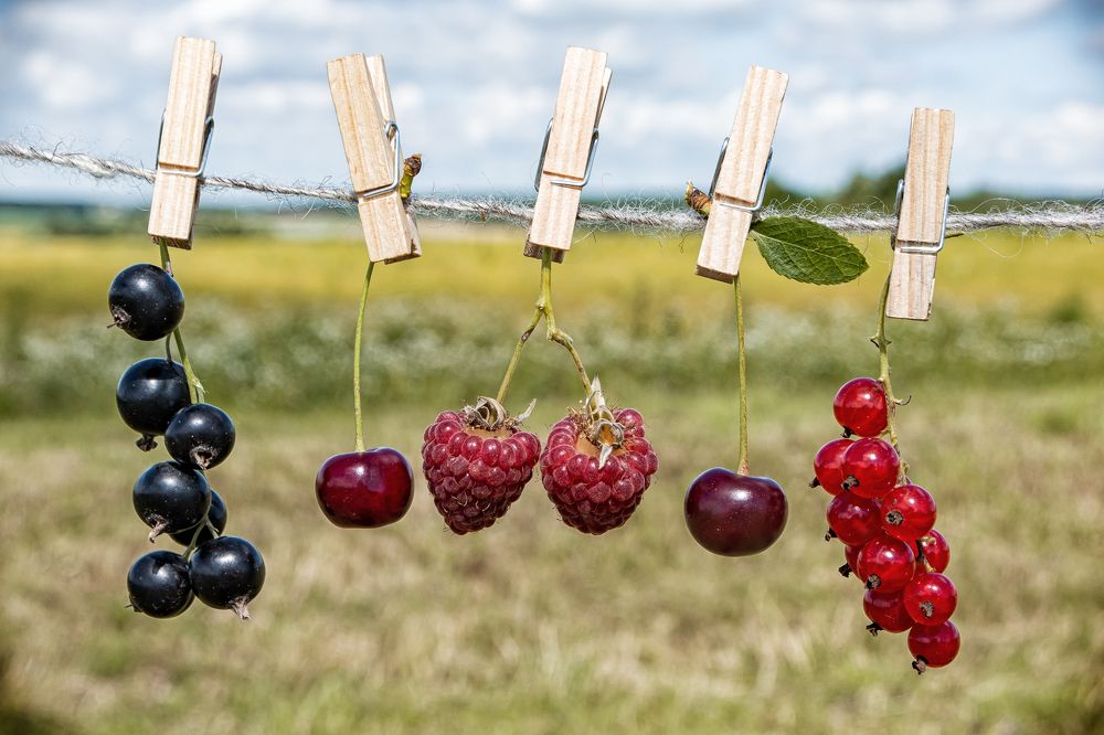 Photograph by Шудель Дмитрий