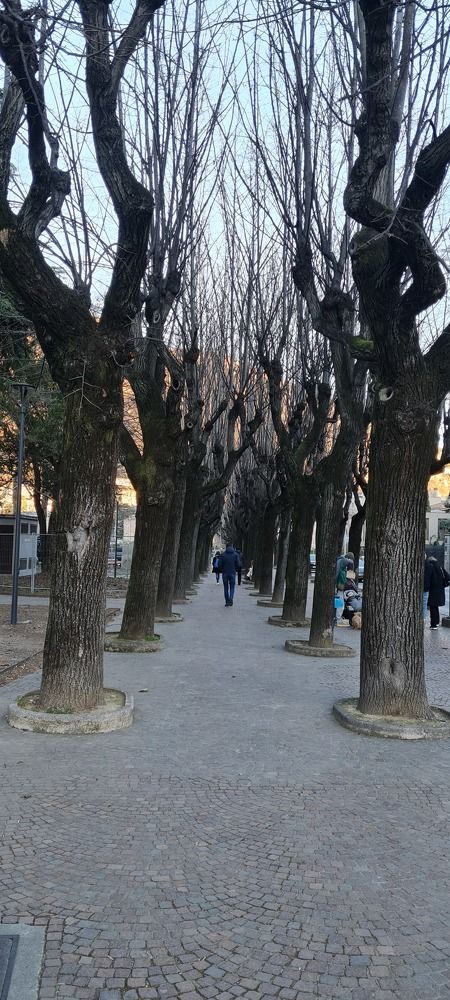 Photograph by Anastasia Tsatsou