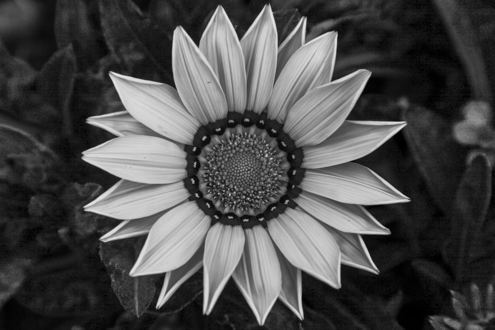 Photograph by Вадим Лабитов