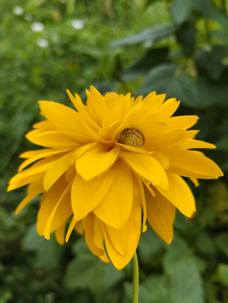 Photograph by Екатерина Супраненок