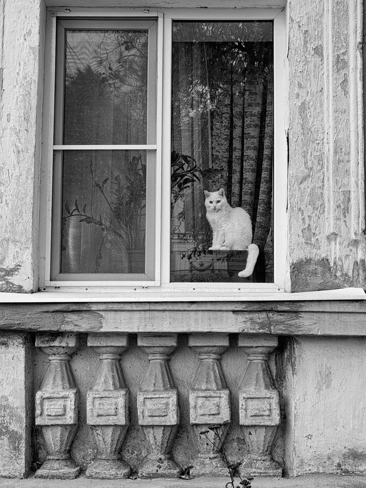 Photograph by Наталия Питолина