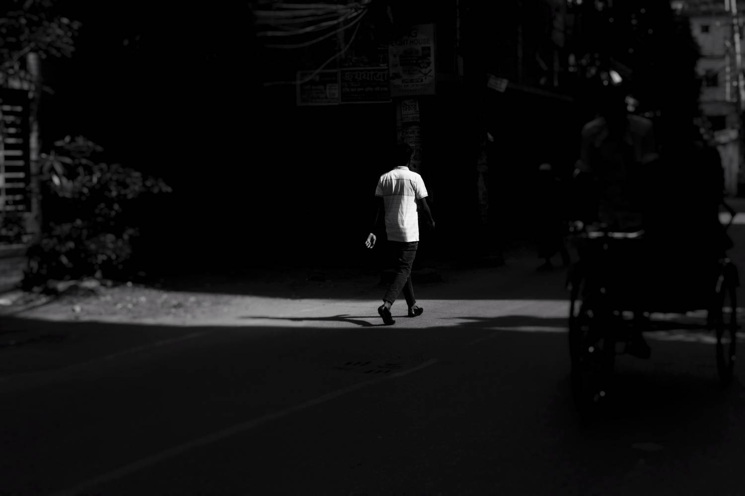 Photo #8819359