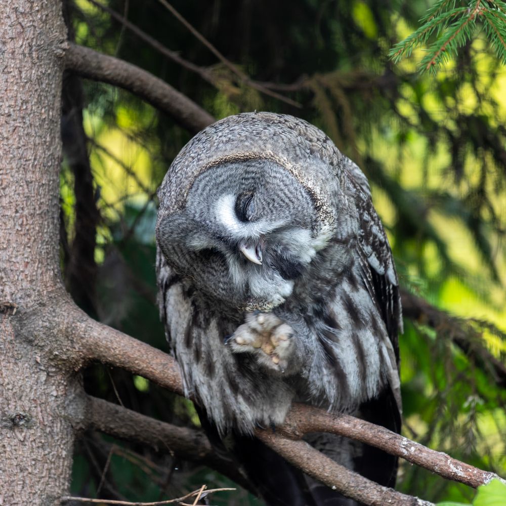 Photograph by Vitalijs Mironovs