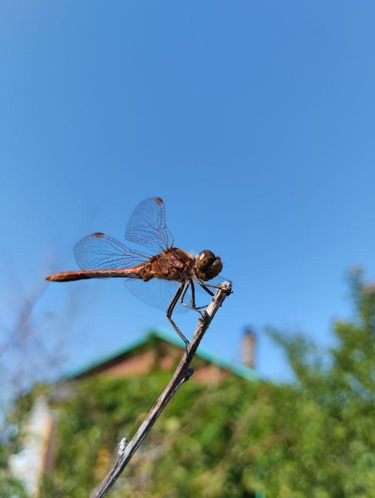 Photograph by Екатерина Супраненок