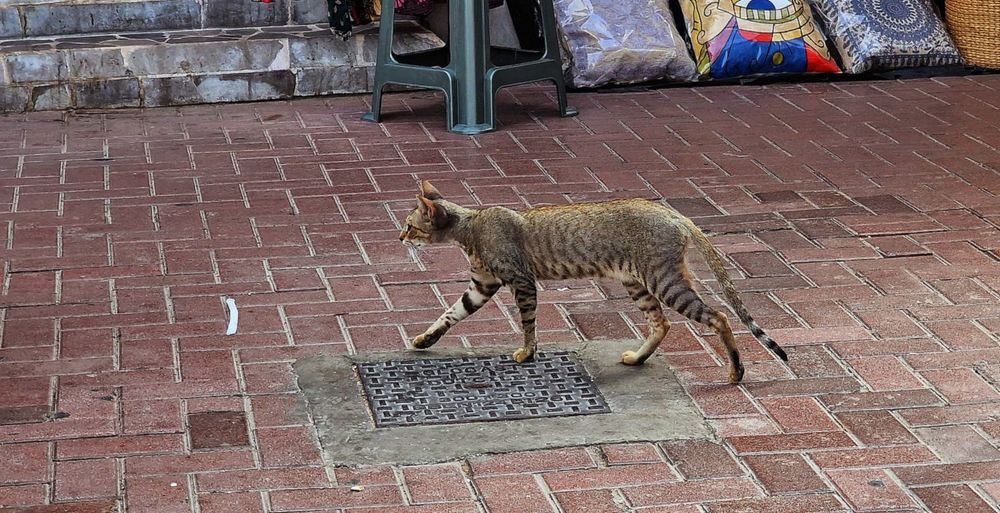 Photograph by Epp Tappel