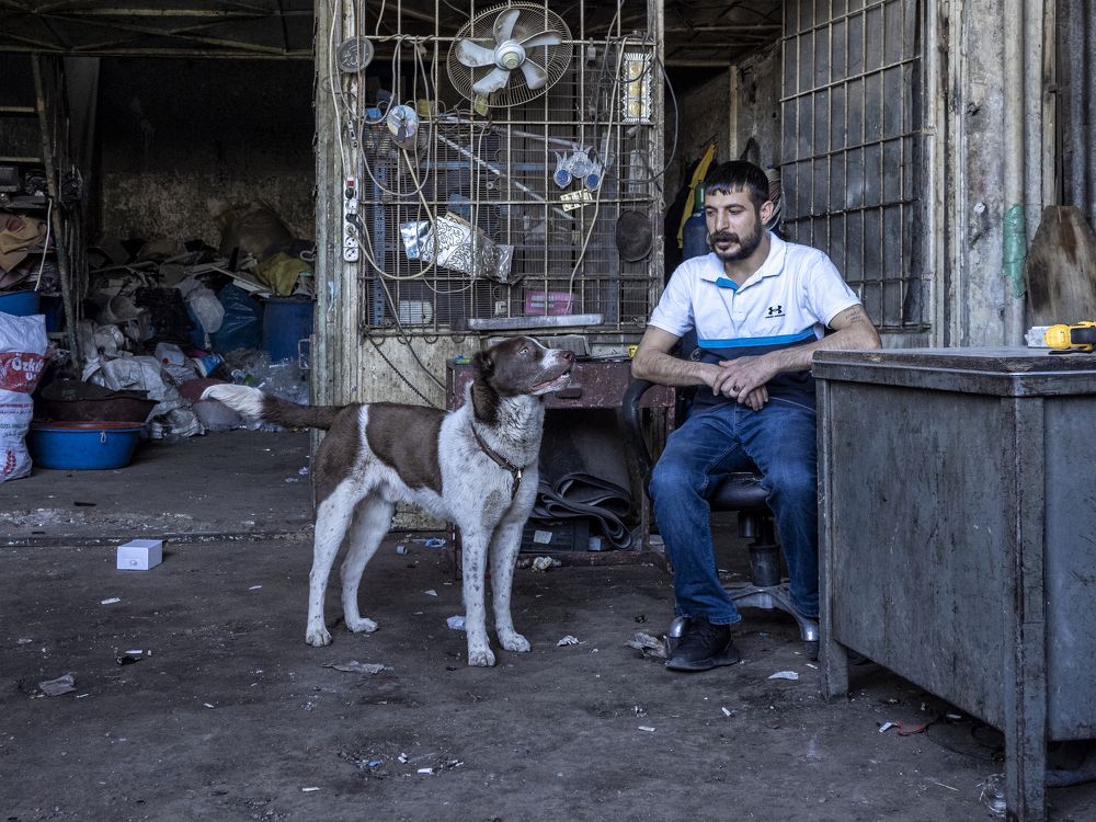 Фотография автора Aylin Turnator