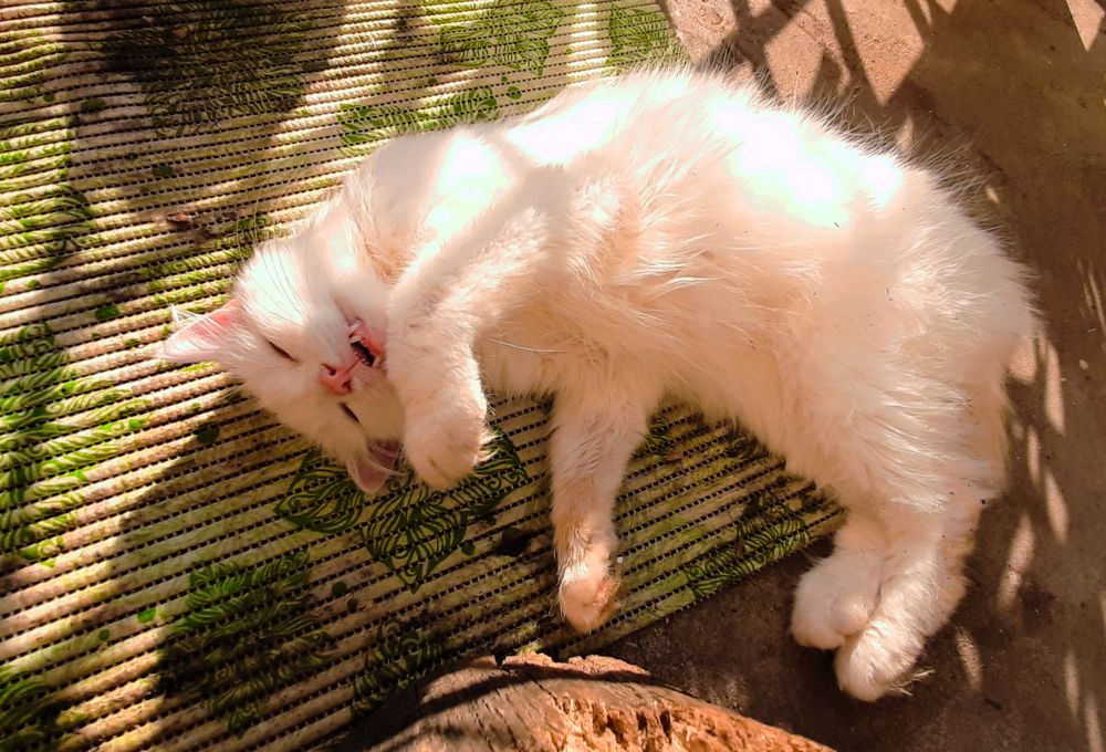 Photograph by Елизавета Иванова