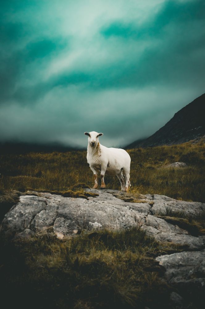 Photograph by Daria Isabella Dziedzic