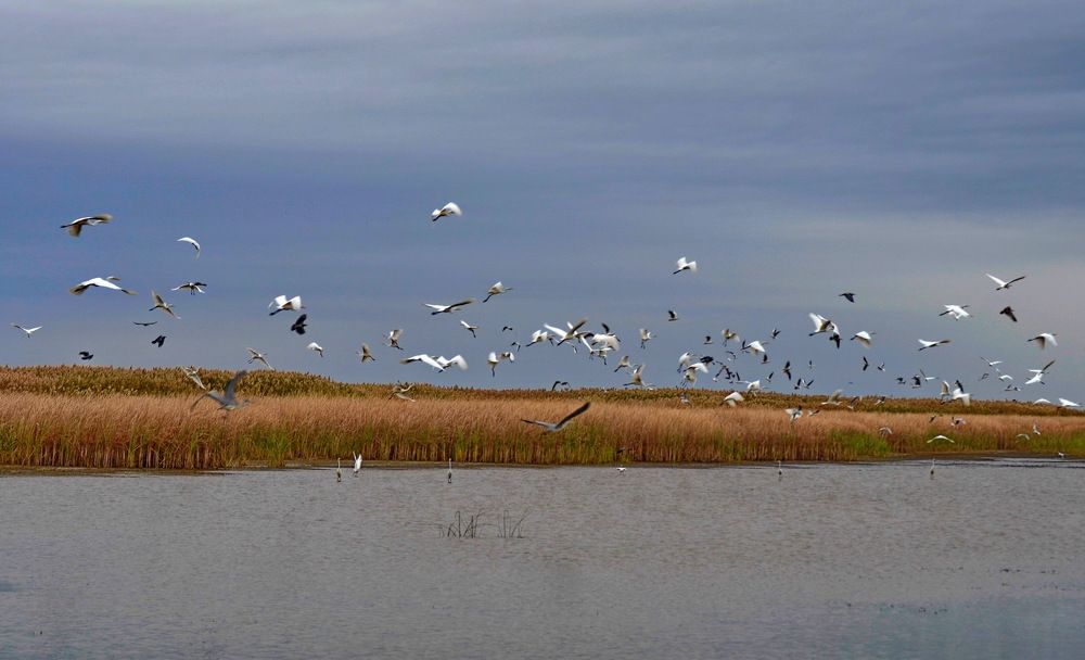 Photograph by Мария Воронцова
