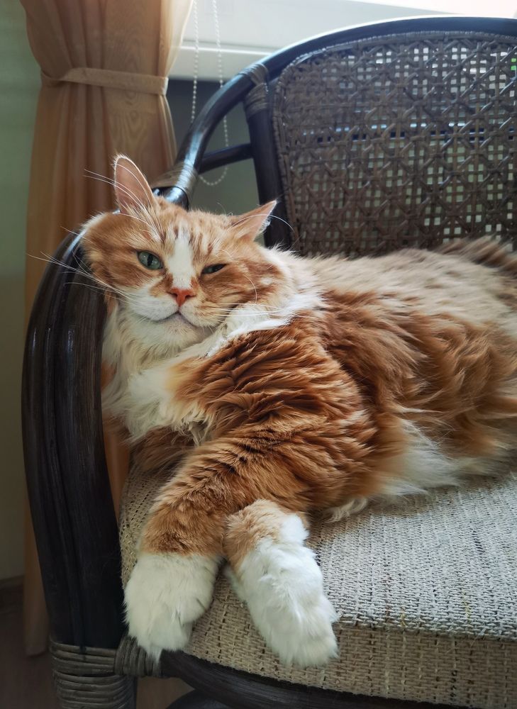 Фотография автора Екатерина Бисерова