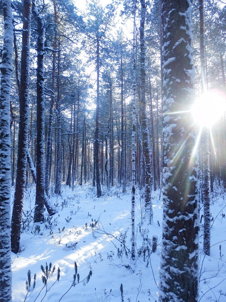 Photograph by Георгий Салюков