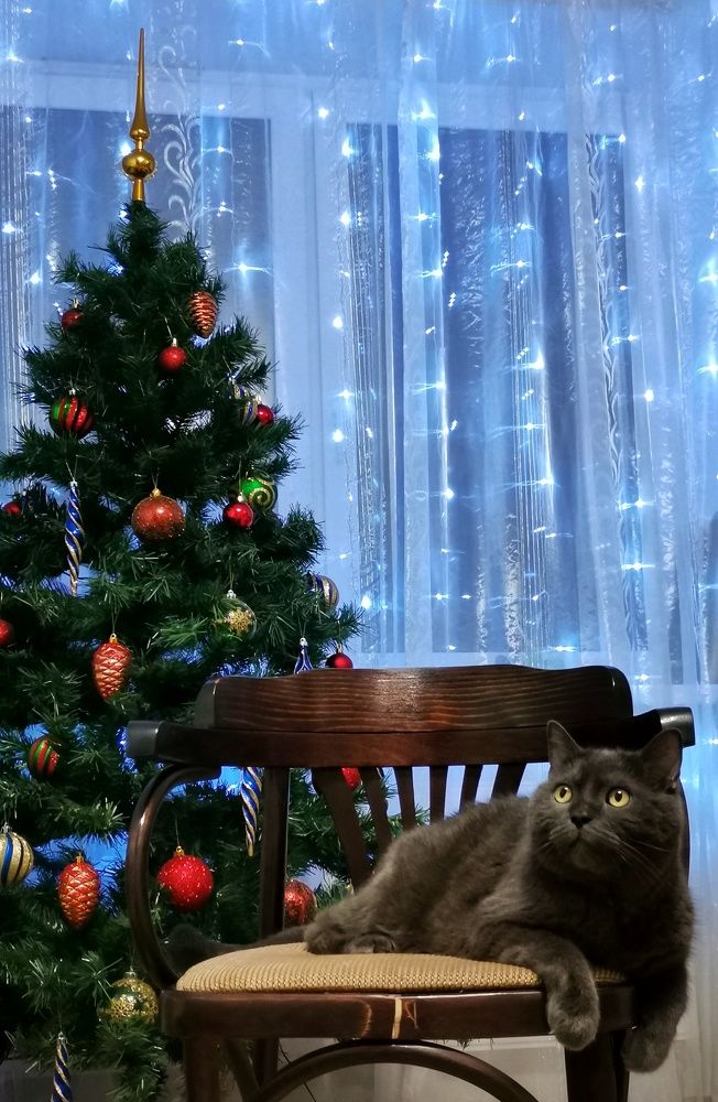 Фотография автора Екатерина Бисерова