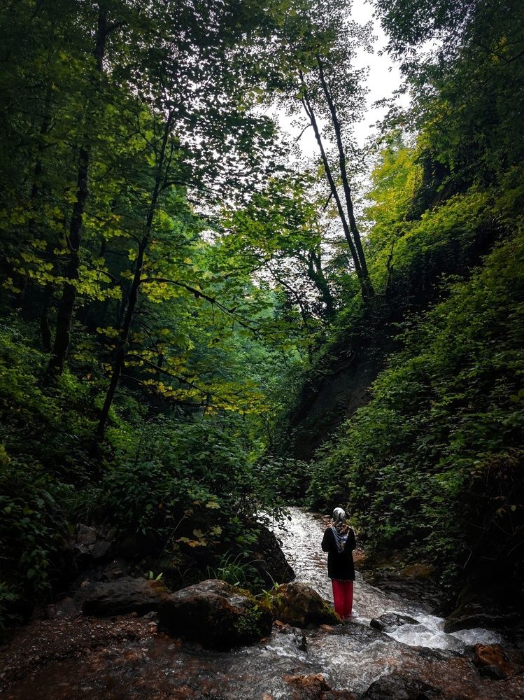 A girl in the forest