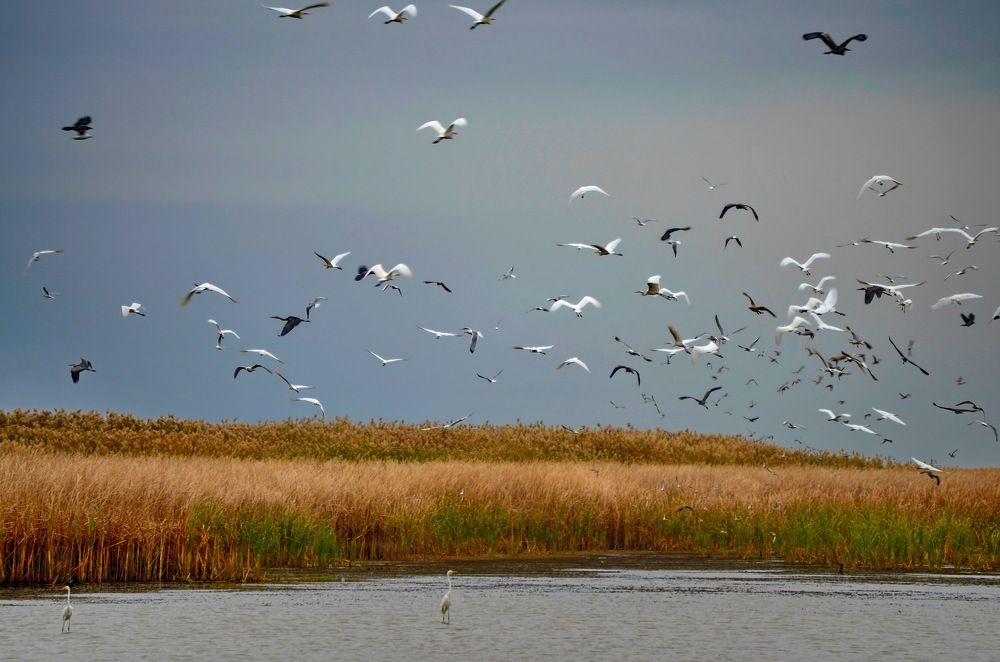 Photograph by Мария Воронцова