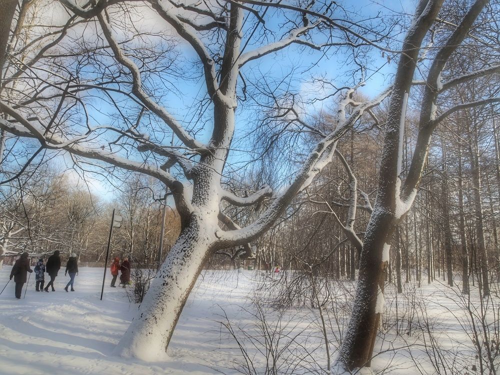 Photograph by Наталия Романова