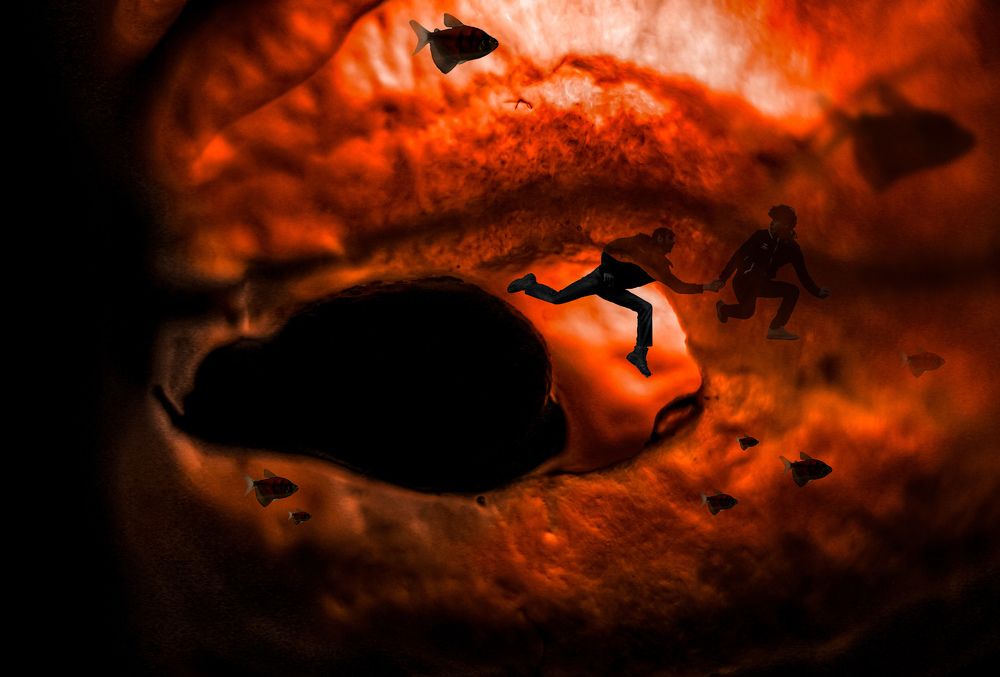 Фотография автора Daniyal Arabzadeh