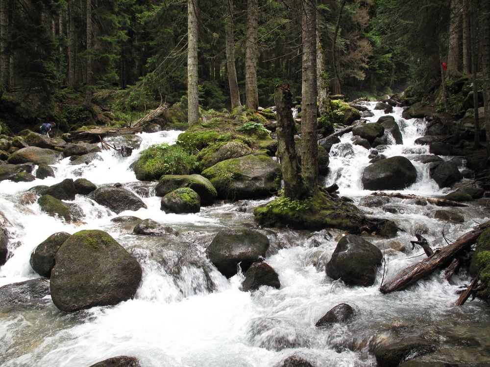 Photo #8819589