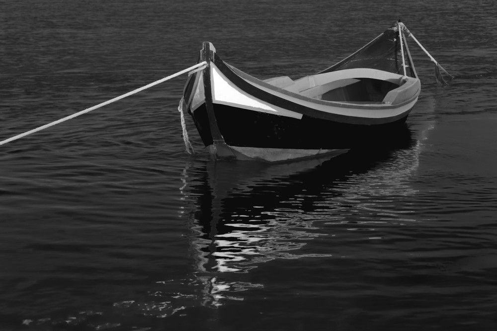 Photograph by Joaquim Aurélio Joaquim Aurélio