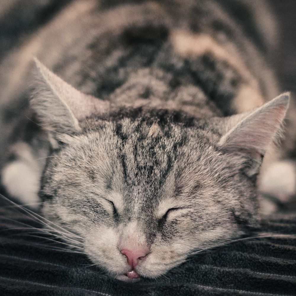 Фотография автора Вадим