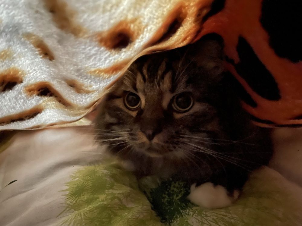 Photograph by Сергей Кутьин