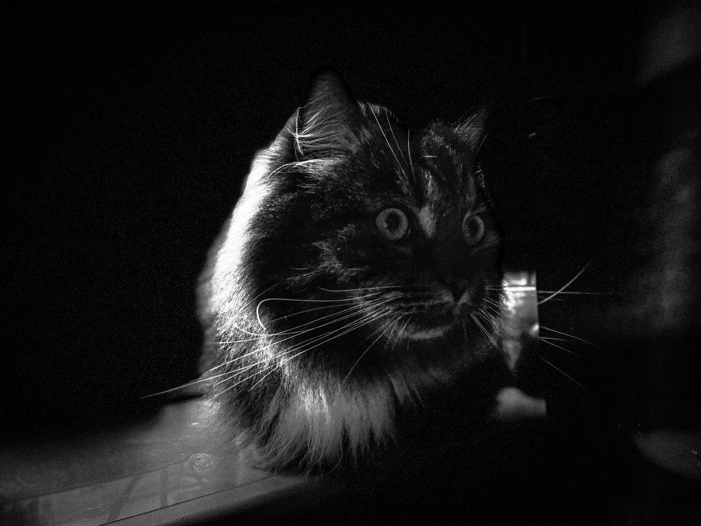 Photograph by Сергей Кутьин