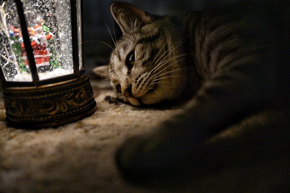 Photograph by Елена Ермакова