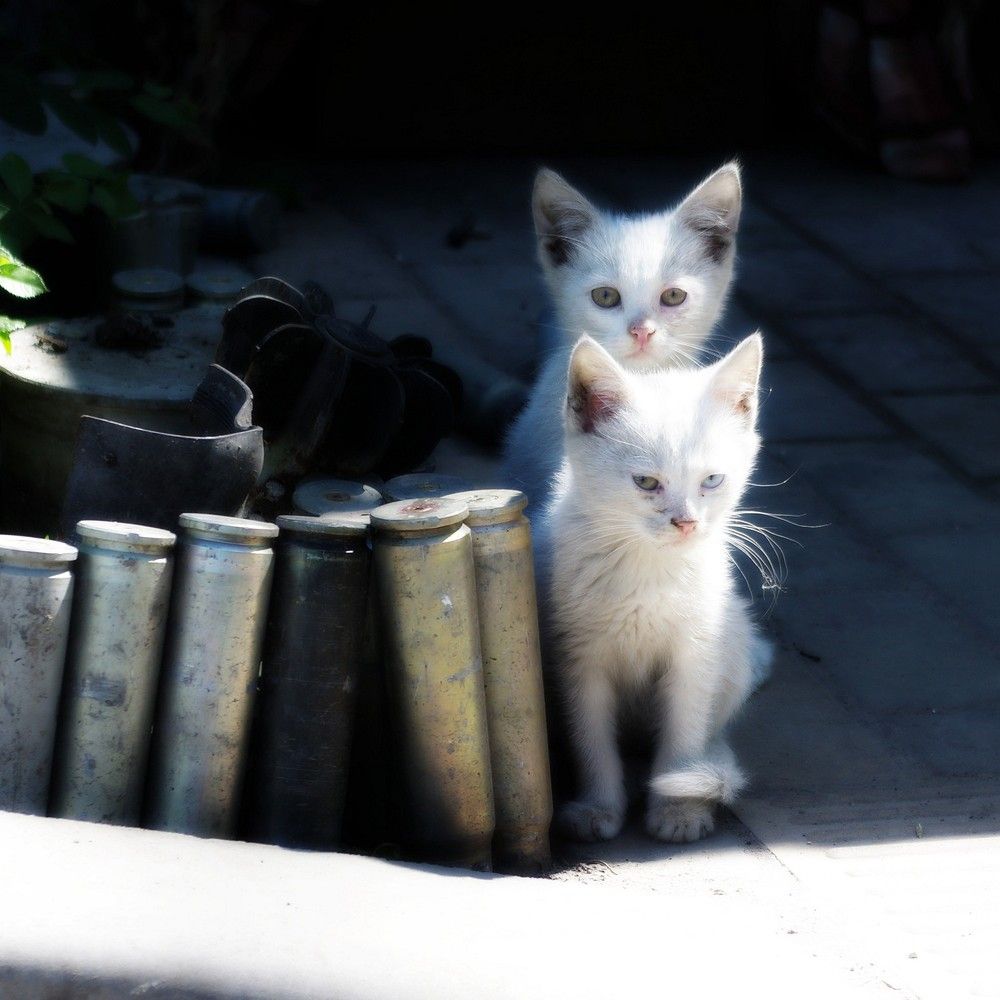 Photograph by Андрей Иванов