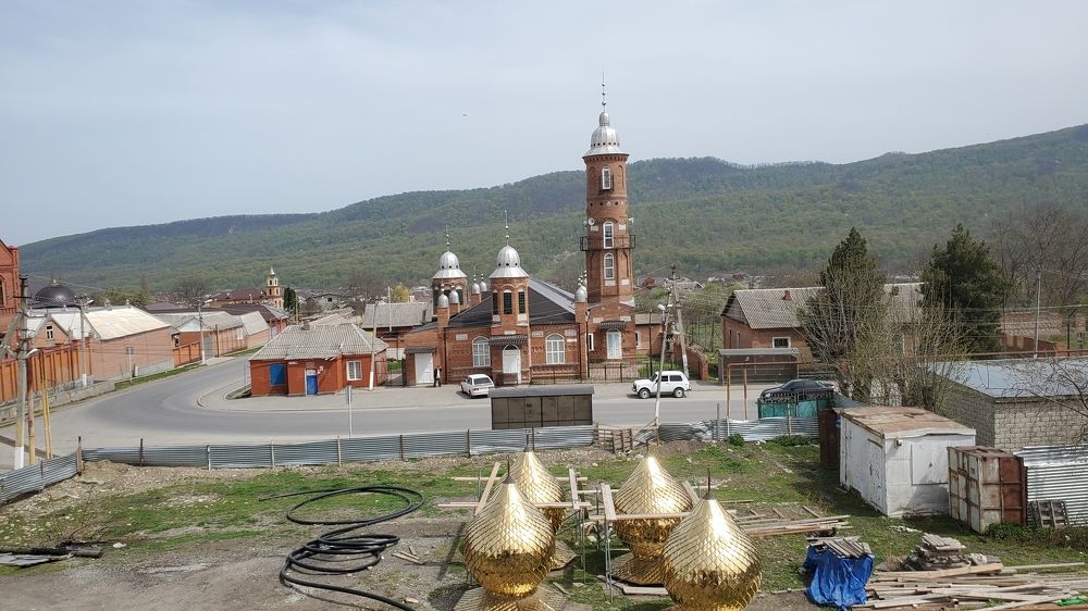 Photo #8819737