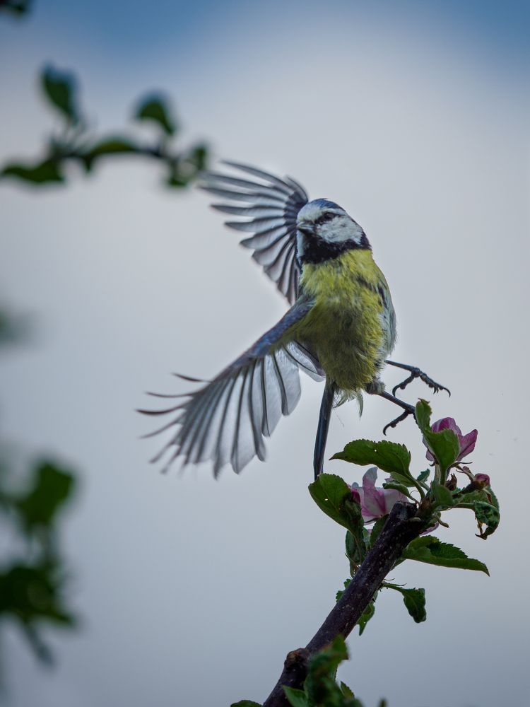 Photograph by Roman Chudaš