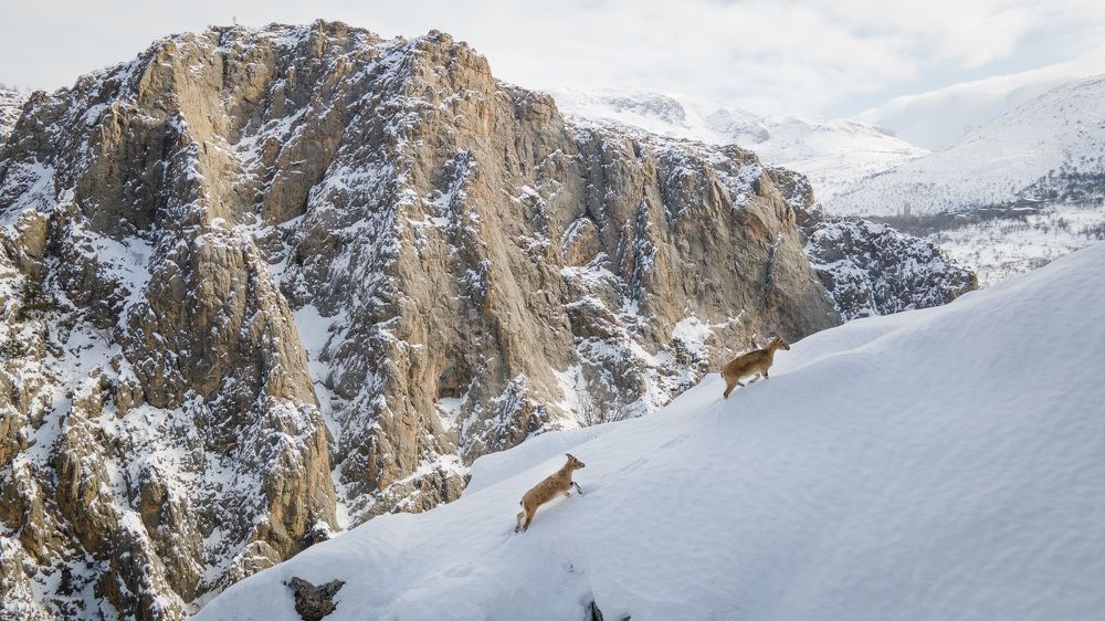 Photograph by Adem Albayrak