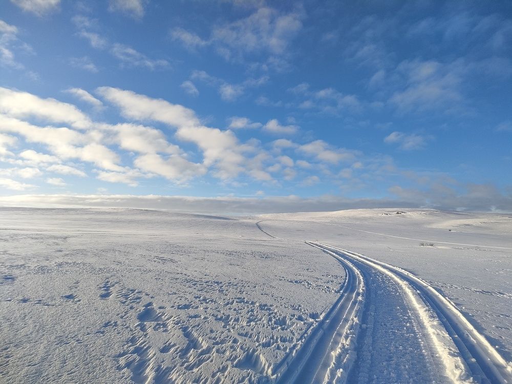 Снежная пустыня