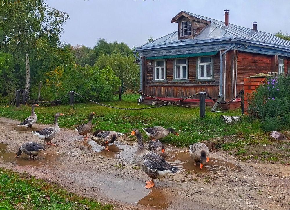 Photograph by Мария Воронцова