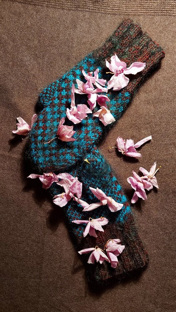 Photograph by ЭЛЬМИРА  ИСМАИЛОВА